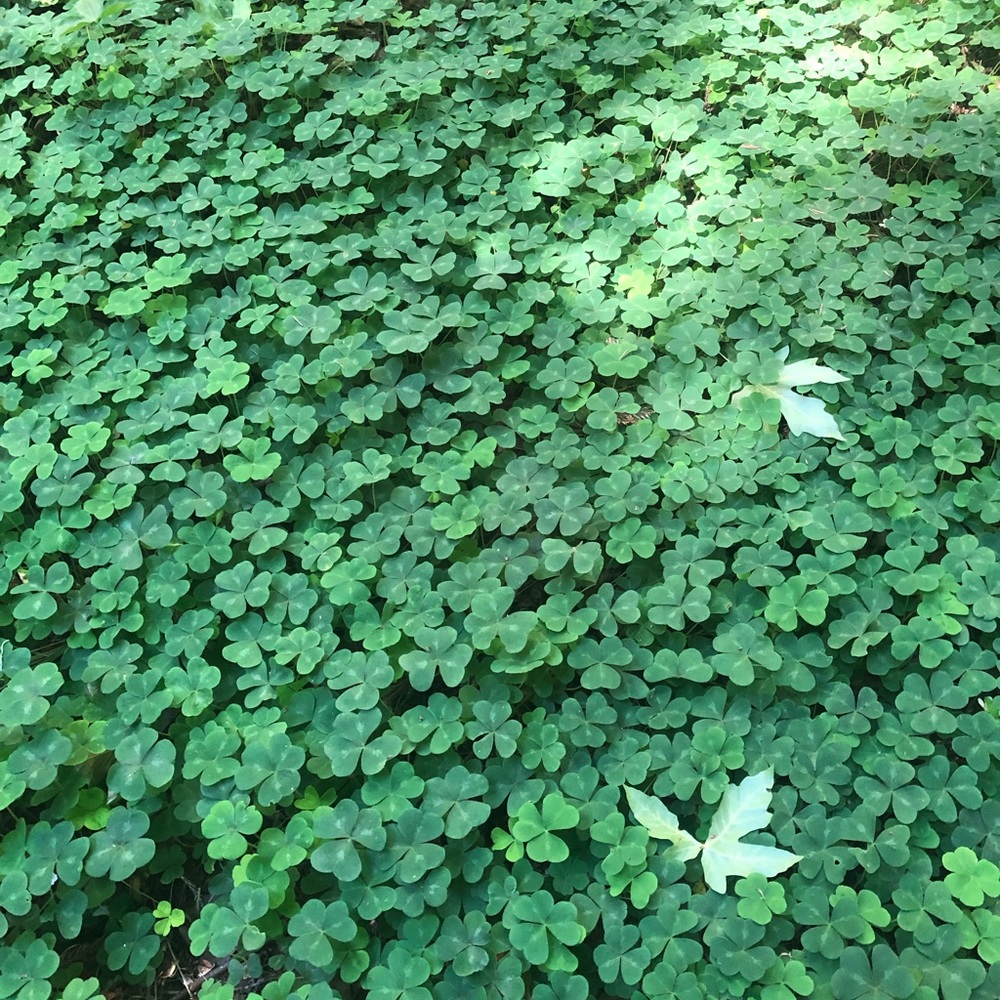 Meet your Posher, Jenny